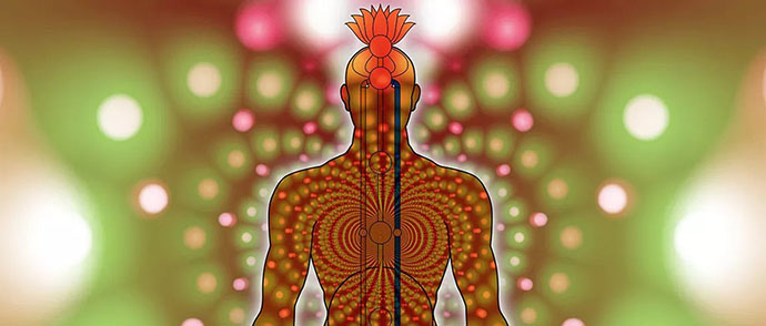 Body's Energy System
