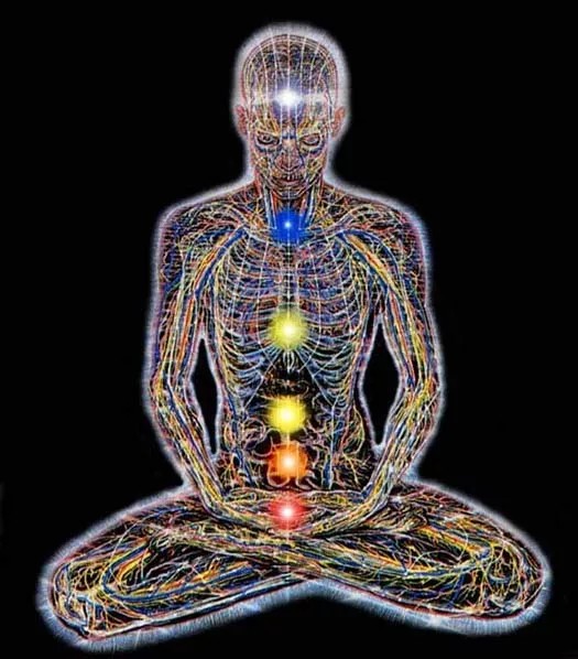 meridians, chakras & aura overview
