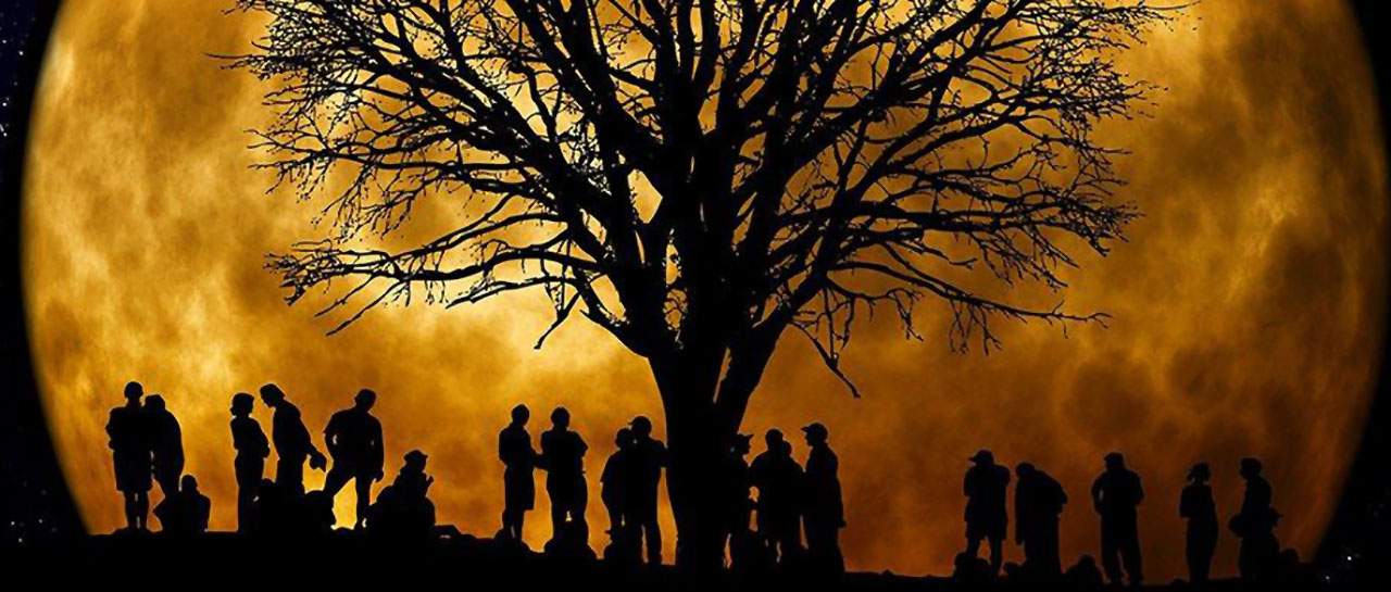 Super Moon Tree