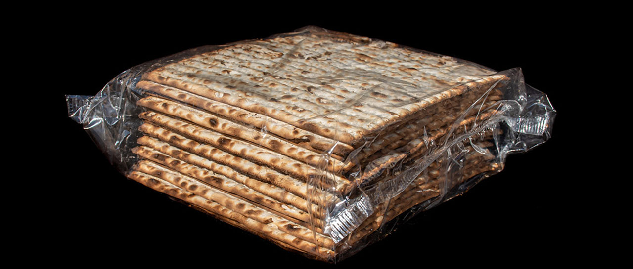 Pesach (Passover)