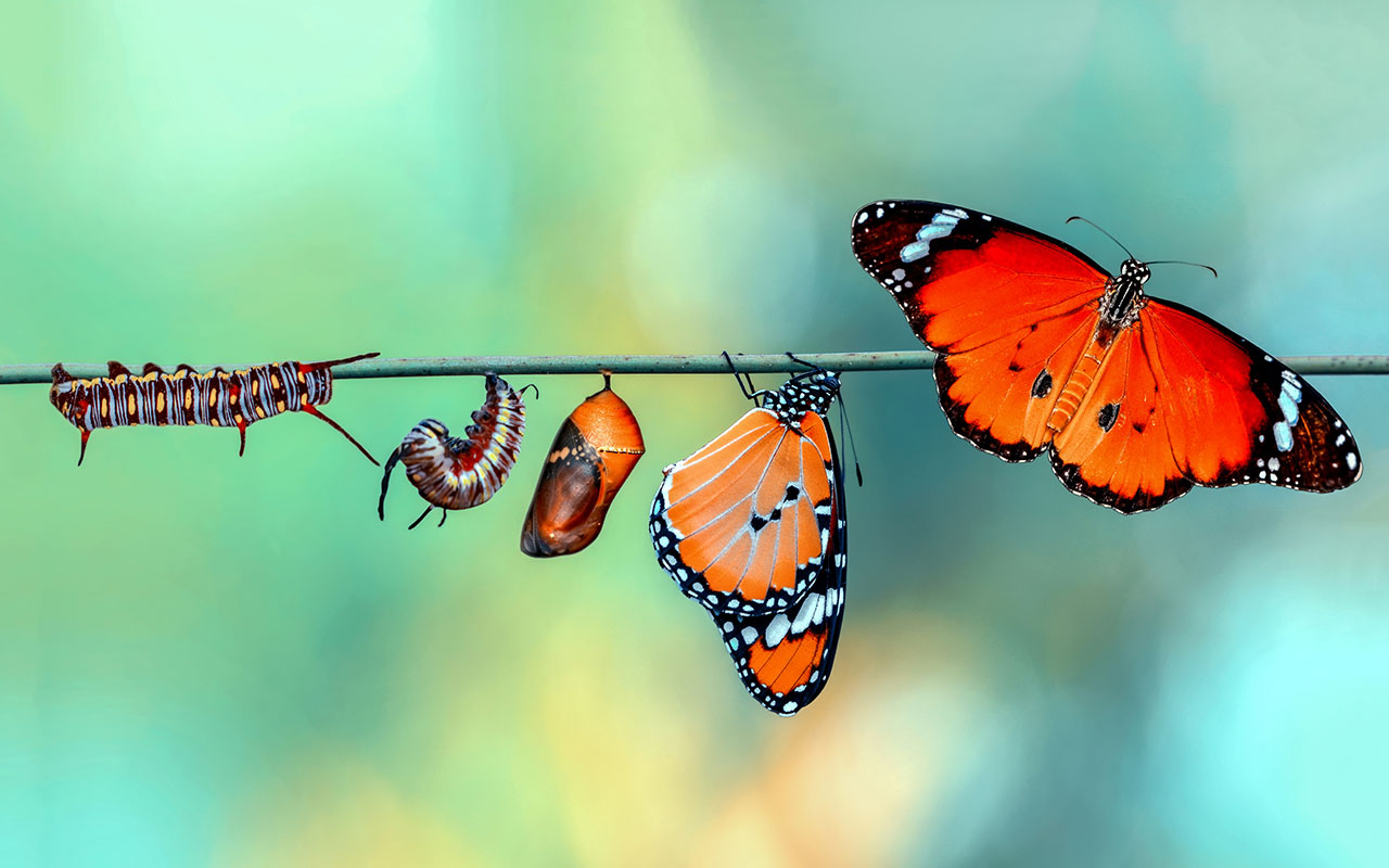 Why Soul Coaching?